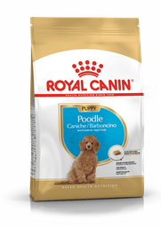Royal canin caniche puppy 1kg